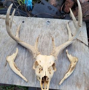 Meet your Posher, Cary